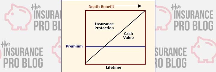 ally cash advance fee