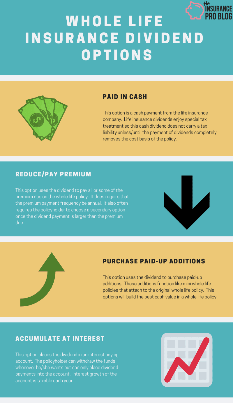 Understanding Whole Life Insurance Dividend Options