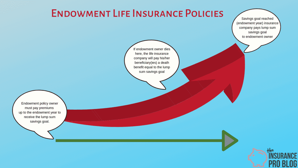 Endowment Policy