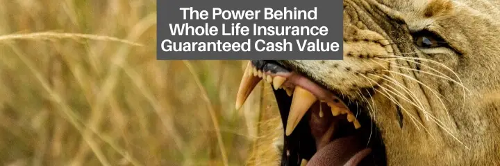 guaranteed cash value of whole life insurance