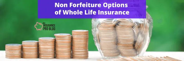 Nonforfeiture Options of Whole Life Insurance • The ...