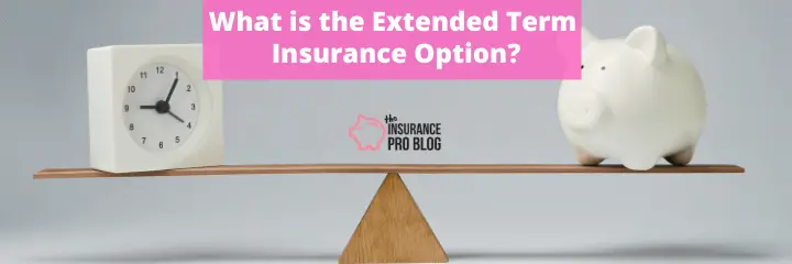 What is the Extended Term Insurance Option?