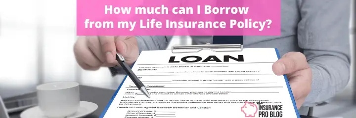 How much can I Borrow from my Life Insurance Policy?