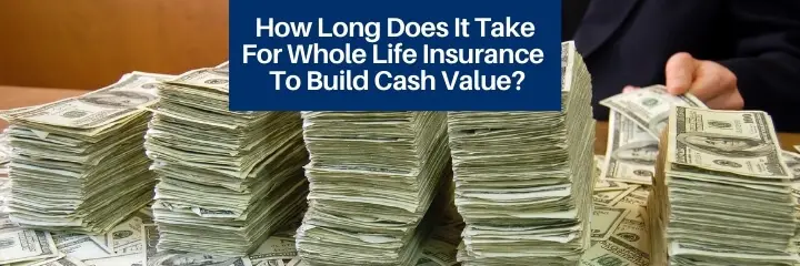 How Long Does It Take For Whole Life Insurance To Build Cash Value? • The Insurance Pro Blog