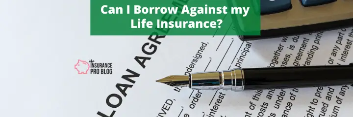 Can I Borrow Against my Life Insurance?