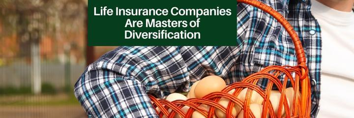 diversification by life insurance asset managers